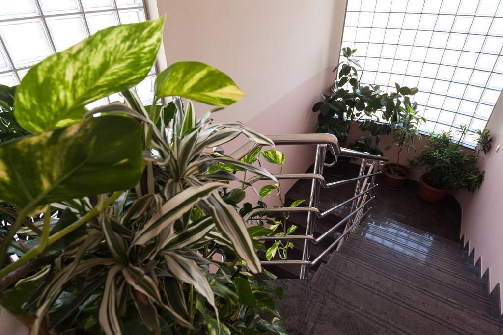 Apartment Iva Zadar Eksteriør bilde